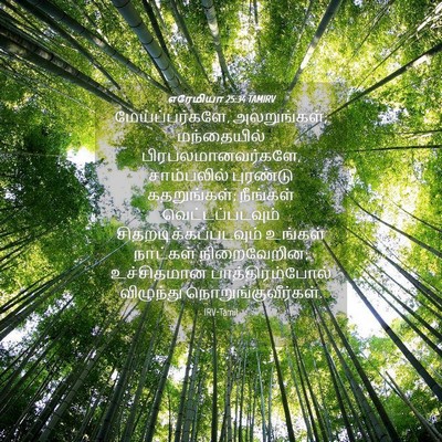 Picture 04 - எரேமியா 25:34 TAMIRV - மேய்ப்பர்களே, - Bible Verse Picture
