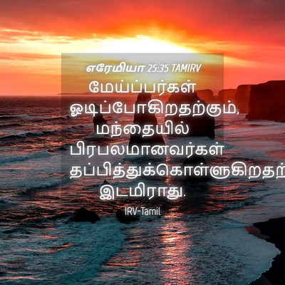 Picture 04 - எரேமியா 25:35 TAMIRV - மேய்ப்பர்கள் - Bible Verse Picture
