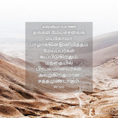 Picture 04 - எரேமியா 25:36 TAMIRV - தங்கள் - Bible Verse Picture