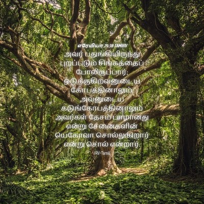 Picture 04 - எரேமியா 25:38 TAMIRV - அவர் - Bible Verse Picture