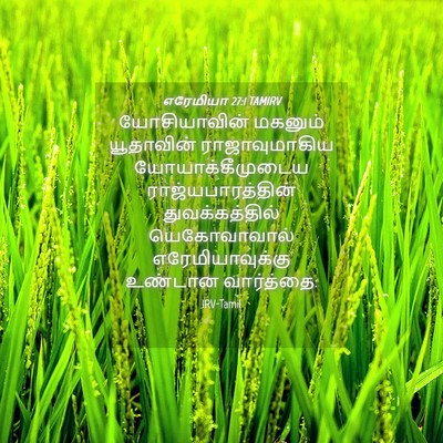 Picture 04 - எரேமியா 27:1 TAMIRV - யோசியாவின் மகனும் - Bible Verse Picture