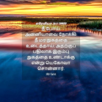 Picture 04 - எரேமியா 28:13 TAMIRV - நீ போய், அனனியாவை - Bible Verse Picture