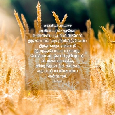 Picture 04 - எரேமியா 28:16 TAMIRV - ஆகையால், இதோ, - Bible Verse Picture