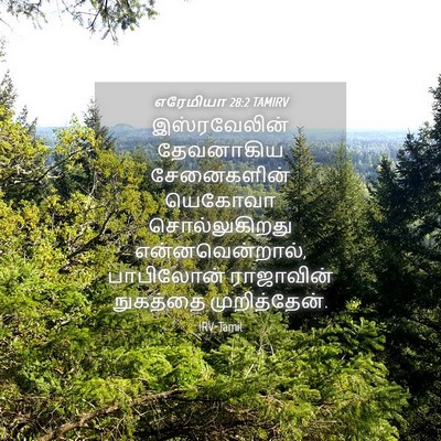 Picture 04 - எரேமியா 28:2 TAMIRV - இஸ்ரவேலின் - Bible Verse Picture