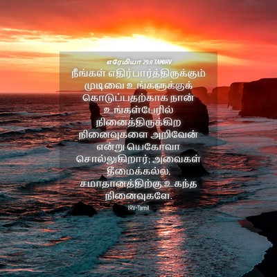 Picture 04 - எரேமியா 29:11 TAMIRV - நீங்கள் - Bible Verse Picture