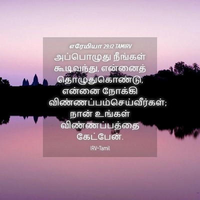 Picture 04 - எரேமியா 29:12 TAMIRV - அப்பொழுது நீங்கள் - Bible Verse Picture