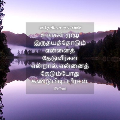 Picture 04 - எரேமியா 29:13 TAMIRV - உங்கள் முழு - Bible Verse Picture