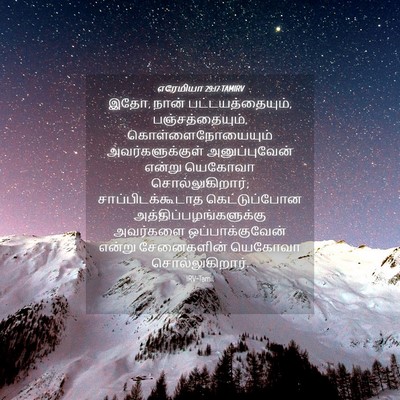Picture 04 - எரேமியா 29:17 TAMIRV - இதோ, நான் - Bible Verse Picture
