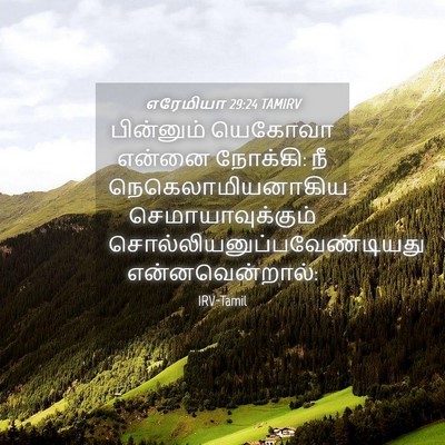 Picture 04 - எரேமியா 29:24 TAMIRV - பின்னும் யெகோவா - Bible Verse Picture