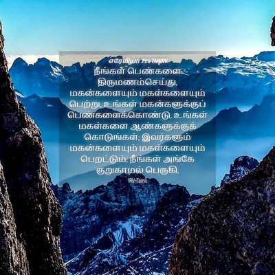 Picture 04 - எரேமியா 29:6 TAMIRV - நீங்கள் பெண்களை - Bible Verse Picture