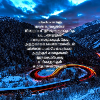 Picture 04 - எரேமியா 29:7 TAMIRV - நான் உங்களைச் - Bible Verse Picture