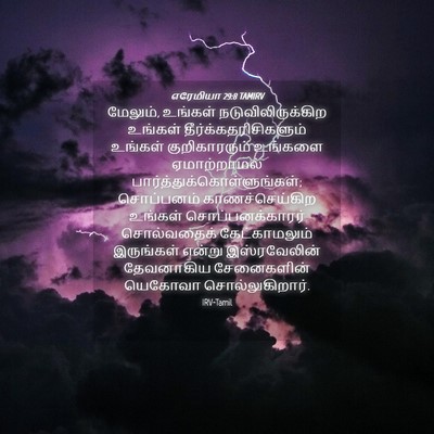 Picture 04 - எரேமியா 29:8 TAMIRV - மேலும், உங்கள் - Bible Verse Picture