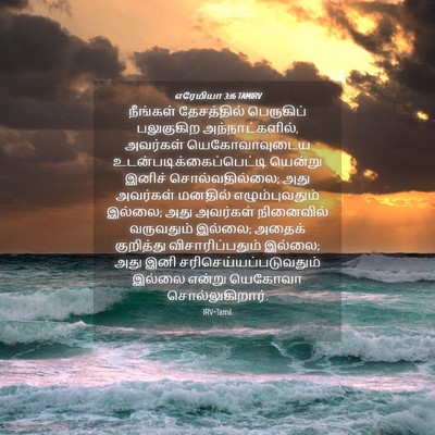 Picture 04 - எரேமியா 3:16 TAMIRV - நீங்கள் தேசத்தில் - Bible Verse Picture