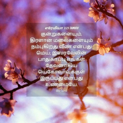 Picture 04 - எரேமியா 3:23 TAMIRV - குன்றுகளையும், - Bible Verse Picture