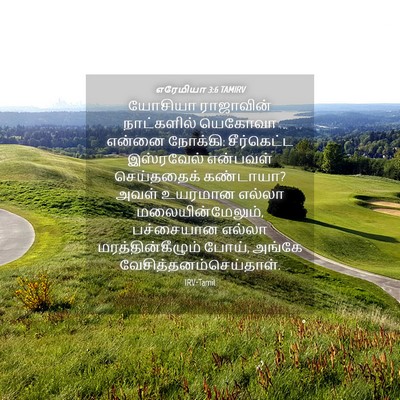 Picture 04 - எரேமியா 3:6 TAMIRV - யோசியா ராஜாவின் - Bible Verse Picture