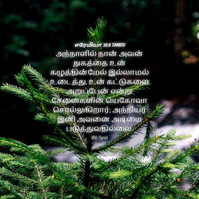 Picture 04 - எரேமியா 30:8 TAMIRV - அந்நாளில் நான் - Bible Verse Picture