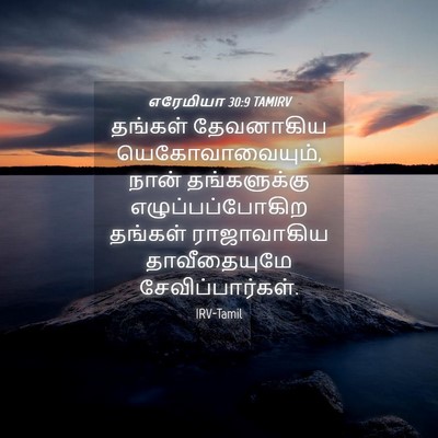 Picture 04 - எரேமியா 30:9 TAMIRV - தங்கள் தேவனாகிய - Bible Verse Picture