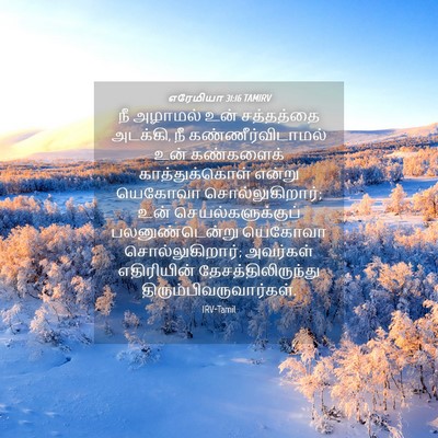 Picture 04 - எரேமியா 31:16 TAMIRV - நீ அழாமல் உன் - Bible Verse Picture