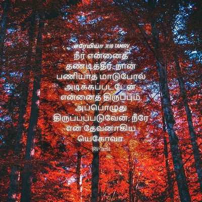 Picture 04 - எரேமியா 31:18 TAMIRV - நீர் என்னைத் - Bible Verse Picture