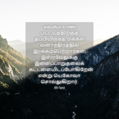 Picture 04 - எரேமியா 31:2 TAMIRV - பட்டயத்திற்குத் - Bible Verse Picture