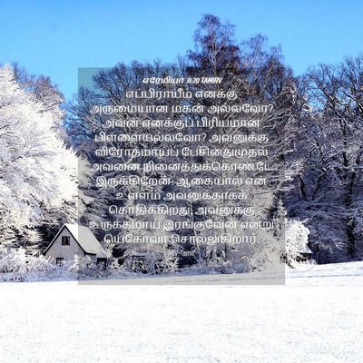 Picture 04 - எரேமியா 31:20 TAMIRV - எப்பிராயீம் - Bible Verse Picture