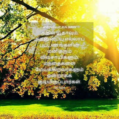 Picture 04 - எரேமியா 31:24 TAMIRV - அதில் யூதாவும், - Bible Verse Picture