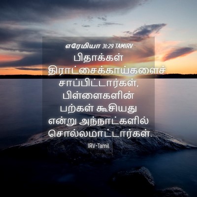 Picture 04 - எரேமியா 31:29 TAMIRV - பிதாக்கள் - Bible Verse Picture