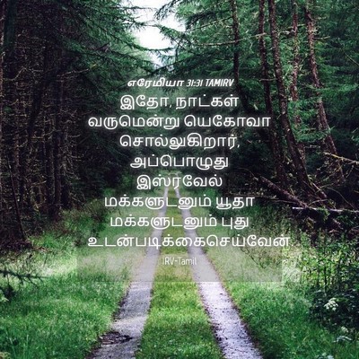 Picture 04 - எரேமியா 31:31 TAMIRV - இதோ, நாட்கள் - Bible Verse Picture