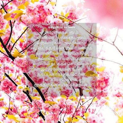 Picture 04 - எரேமியா 31:9 TAMIRV - அழுகையுடனும் - Bible Verse Picture