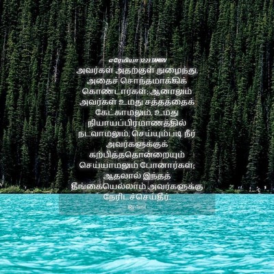 Picture 04 - எரேமியா 32:23 TAMIRV - அவர்கள் அதற்குள் - Bible Verse Picture