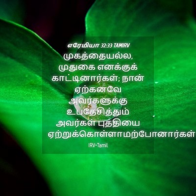 Picture 04 - எரேமியா 32:33 TAMIRV - முகத்தையல்ல, - Bible Verse Picture