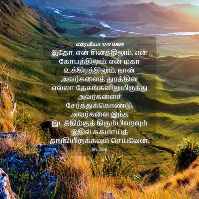Picture 04 - எரேமியா 32:37 TAMIRV - இதோ, என் - Bible Verse Picture