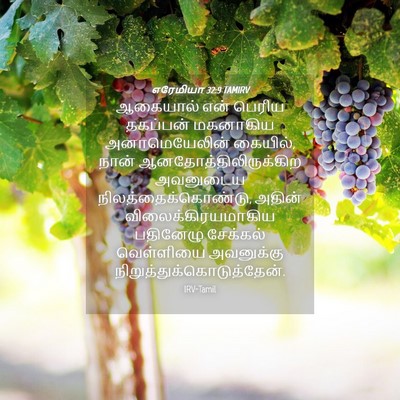 Picture 04 - எரேமியா 32:9 TAMIRV - ஆகையால் என் பெரிய - Bible Verse Picture