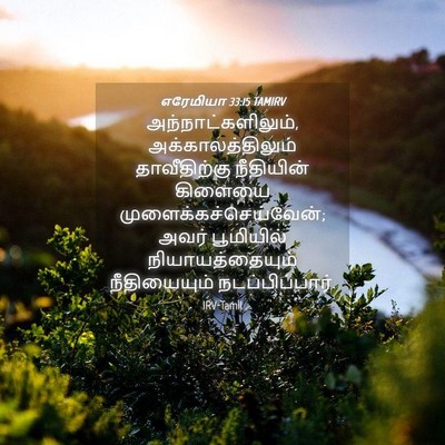 Picture 04 - எரேமியா 33:15 TAMIRV - அந்நாட்களிலும், - Bible Verse Picture