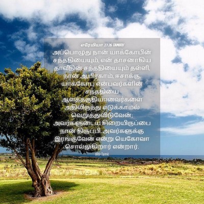Picture 04 - எரேமியா 33:26 TAMIRV - அப்பொழுது நான் - Bible Verse Picture