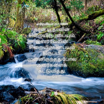 Picture 04 - எரேமியா 33:7 TAMIRV - நான் யூதாவின் - Bible Verse Picture