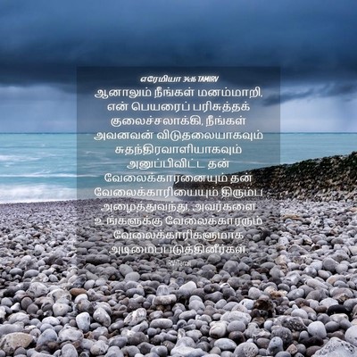 Picture 04 - எரேமியா 34:16 TAMIRV - ஆனாலும் நீங்கள் - Bible Verse Picture