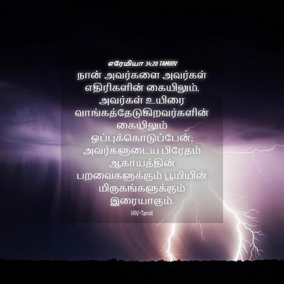Picture 04 - எரேமியா 34:20 TAMIRV - நான் அவர்களை - Bible Verse Picture