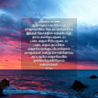 Picture 04 - எரேமியா 35:11 TAMIRV - ஆனாலும் பாபிலோன் - Bible Verse Picture