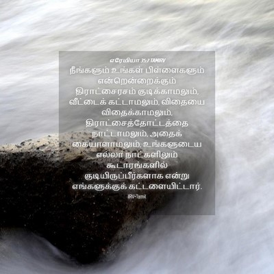 Picture 04 - எரேமியா 35:7 TAMIRV - நீங்களும் உங்கள் - Bible Verse Picture