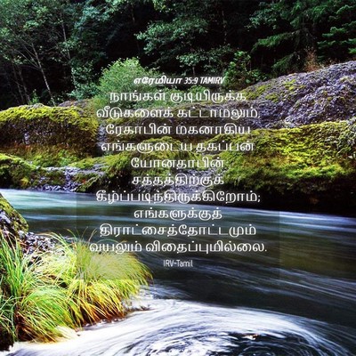 Picture 04 - எரேமியா 35:9 TAMIRV - நாங்கள் - Bible Verse Picture