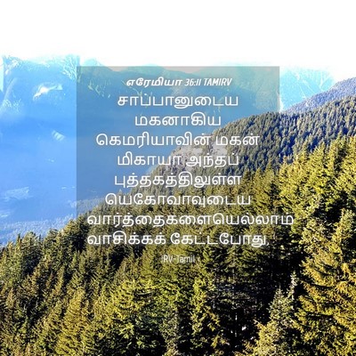 Picture 04 - எரேமியா 36:11 TAMIRV - சாப்பானுடைய - Bible Verse Picture