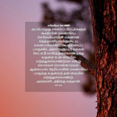 Picture 04 - எரேமியா 36:14 TAMIRV - அப்பொழுது எல்லாப் - Bible Verse Picture