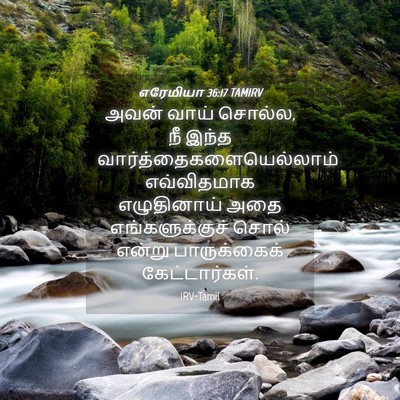 Picture 04 - எரேமியா 36:17 TAMIRV - அவன் வாய் சொல்ல, நீ - Bible Verse Picture