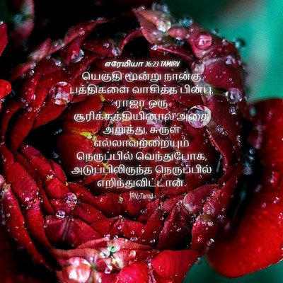 Picture 04 - எரேமியா 36:23 TAMIRV - யெகுதி மூன்று - Bible Verse Picture