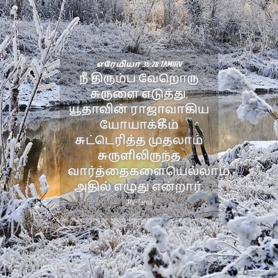 Picture 04 - எரேமியா 36:28 TAMIRV - நீ திரும்ப வேறொரு - Bible Verse Picture