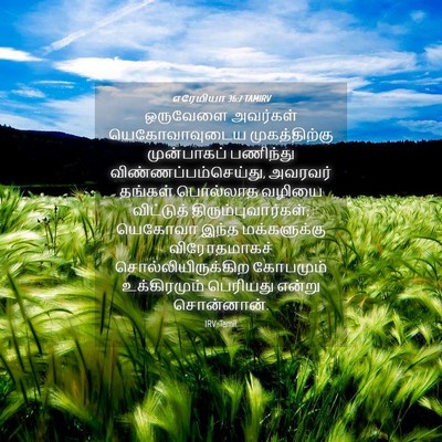 Picture 04 - எரேமியா 36:7 TAMIRV - ஒருவேளை அவர்கள் - Bible Verse Picture