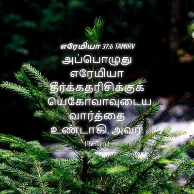Picture 04 - எரேமியா 37:6 TAMIRV - அப்பொழுது எரேமியா - Bible Verse Picture