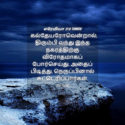 Picture 04 - எரேமியா 37:8 TAMIRV - கல்தேயரோவென்றால், - Bible Verse Picture
