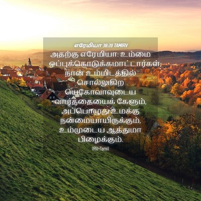 Picture 04 - எரேமியா 38:20 TAMIRV - அதற்கு எரேமியா: - Bible Verse Picture